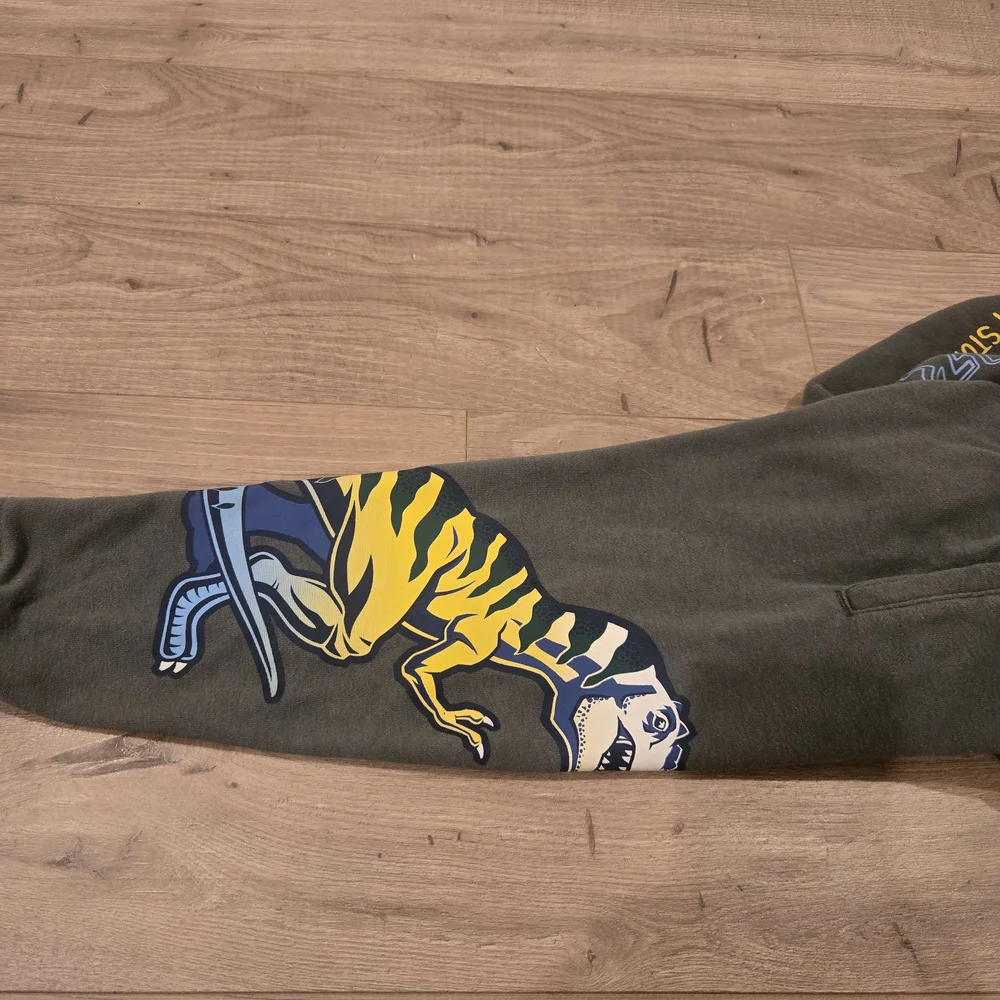 Toddler boys French Terry green dinosaur Joggers adjustable waist size 4